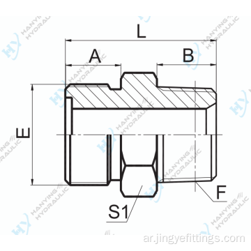 MALE MALE O-RING/NPT MALE